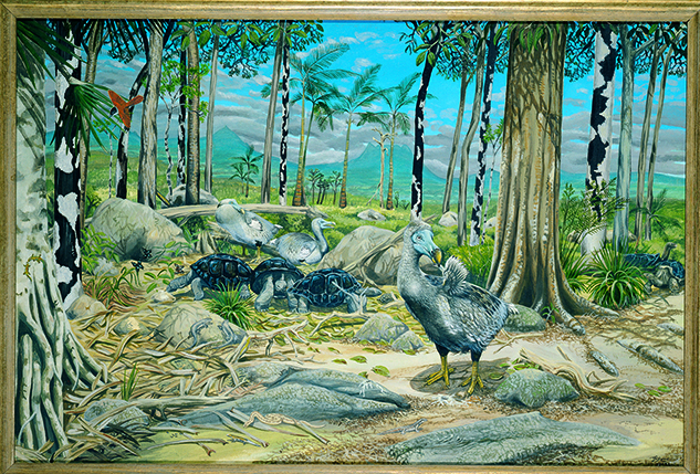 dodo_scenery_julian-hume_nowatermarked