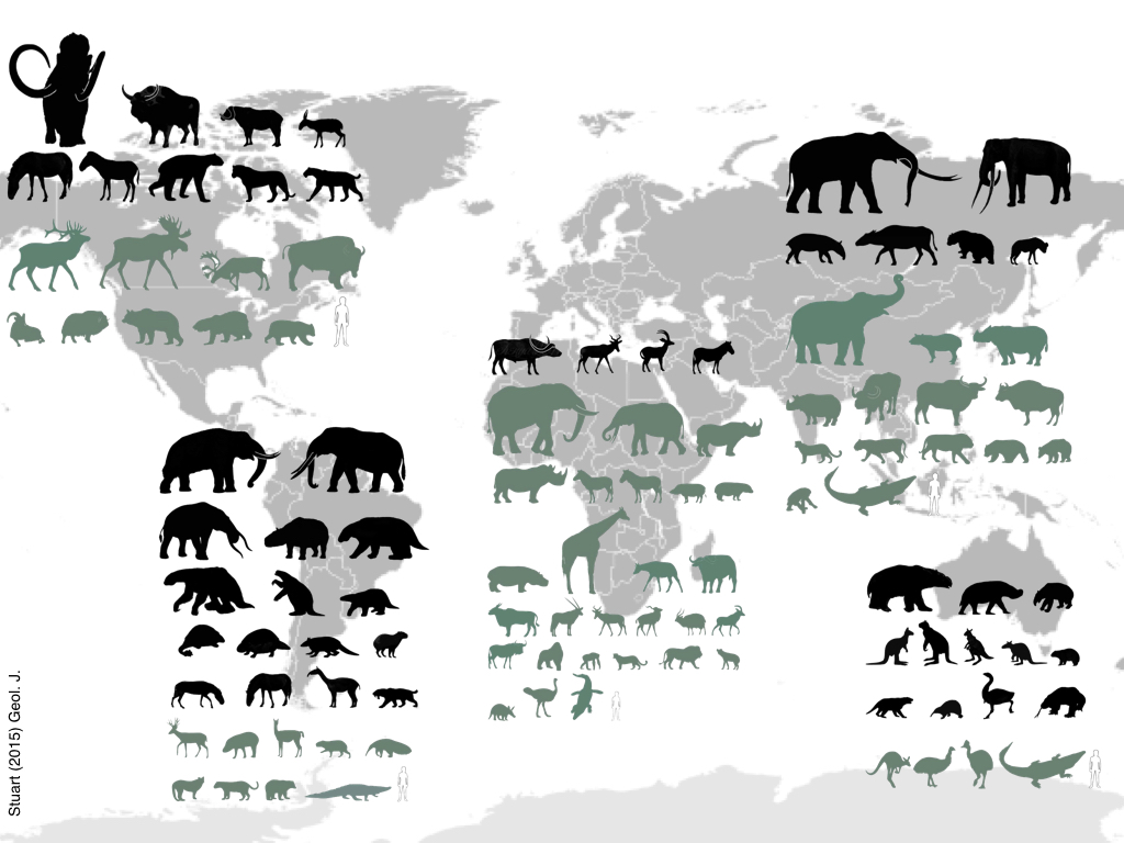 stuart_2015_megafauna-extinctions-001