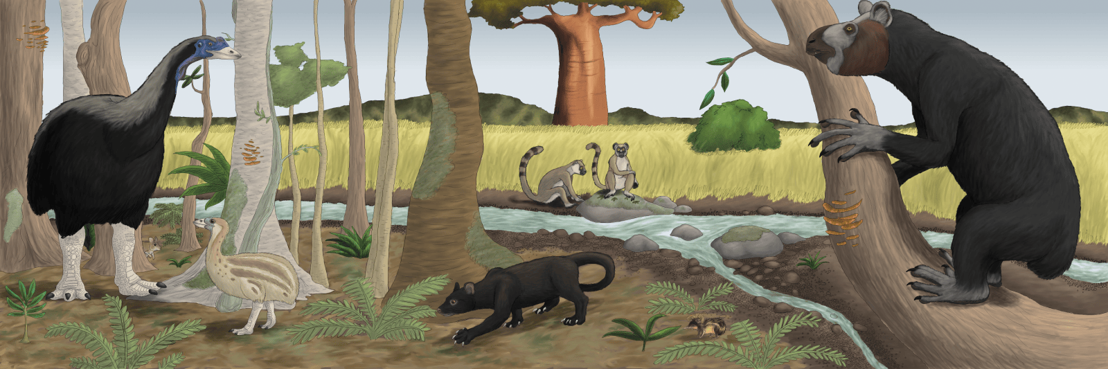 pleistocene_madagascar_final_by_wsnyder-d7f6uwm