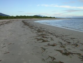 The beach