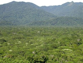 View from the tower, facing SW; restinga forest with the planicie and encosta behind