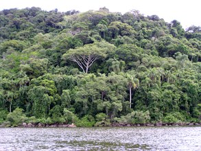 View of the coast, Cananéia
