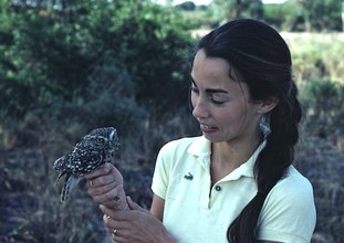 Myriam. Hato Ratón, 1981