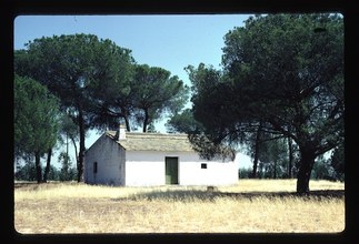 Hato Ratón house, June 1981