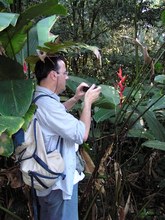 Working in Ilha de Cardoso, Brazil