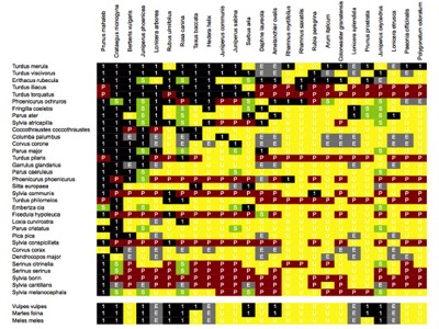 Dataset accompanying Jordano, Bascompte and Olesen (2003), Ecology Let