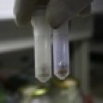 Lab methods and protocols