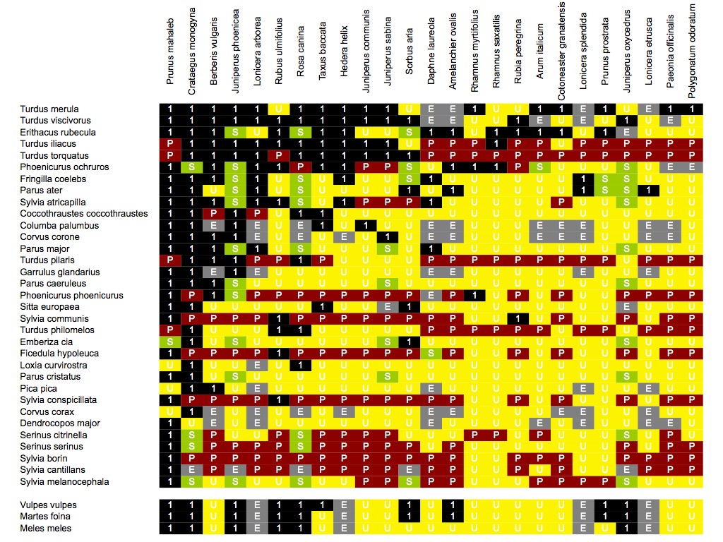 Repository web pages @GitHub Datasets Lab repository @GitHub Pedro's r